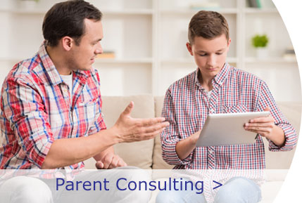 Parent Consulting Button