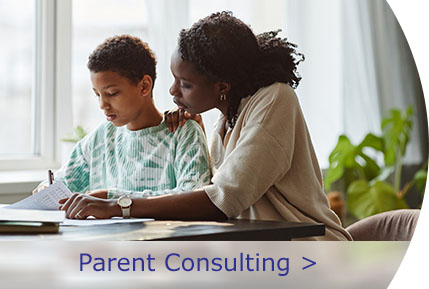 Parent Consulting 2022
